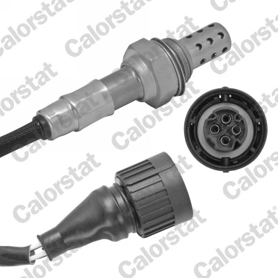 Oxygen Sensor